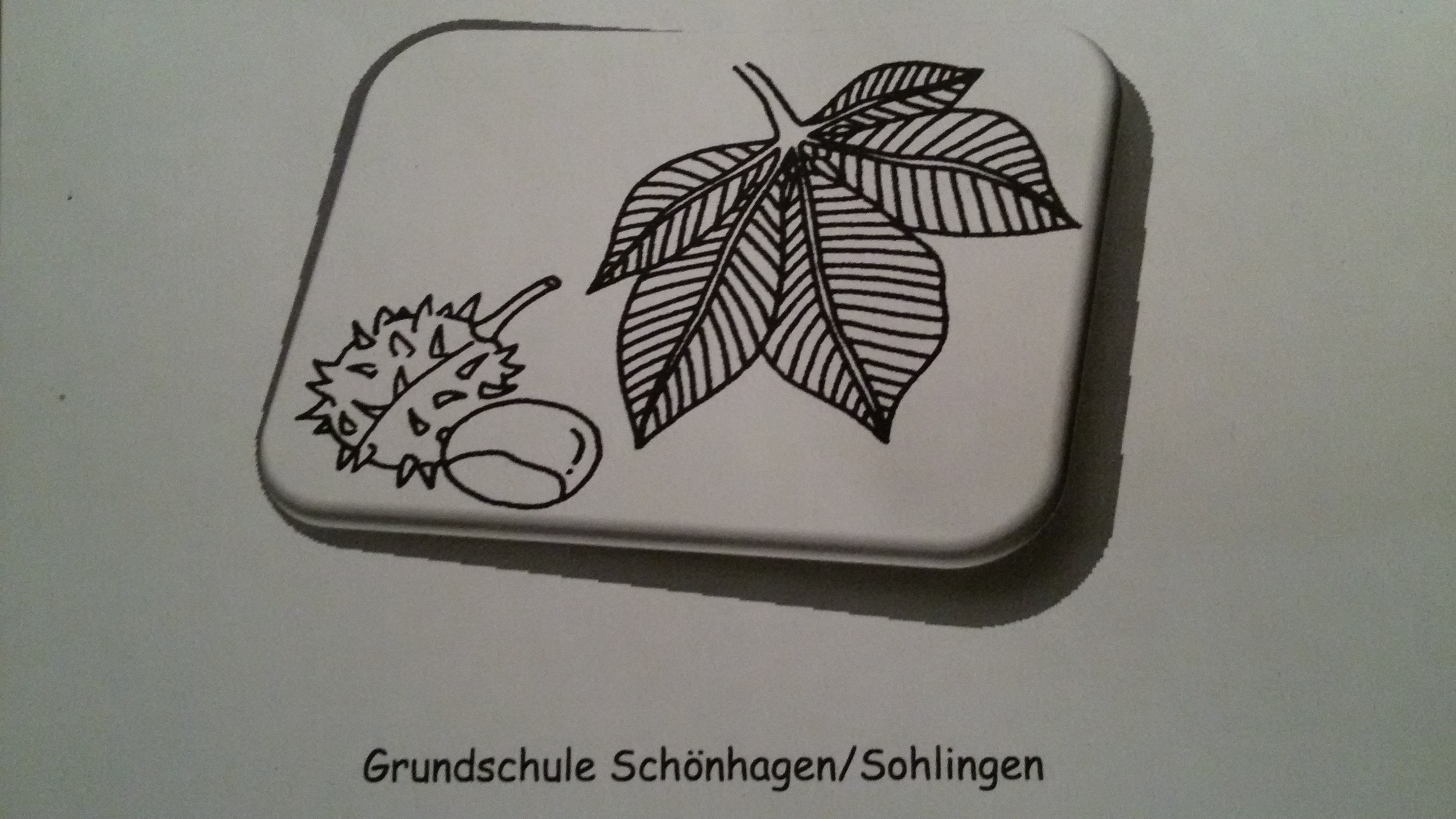 Grundschule Schönhagen/Sohlingen